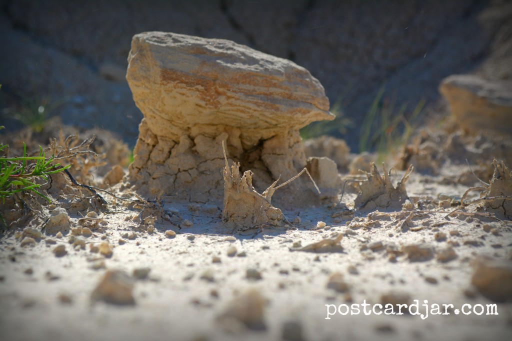 A "toadstool" at Toadstool Geologic Park in northwest Nebraska. (photo by Ann Teget for www.postcardjar.com)