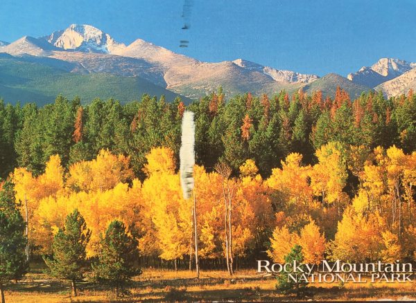 Postcard from Rocky Mountain Natl. Park