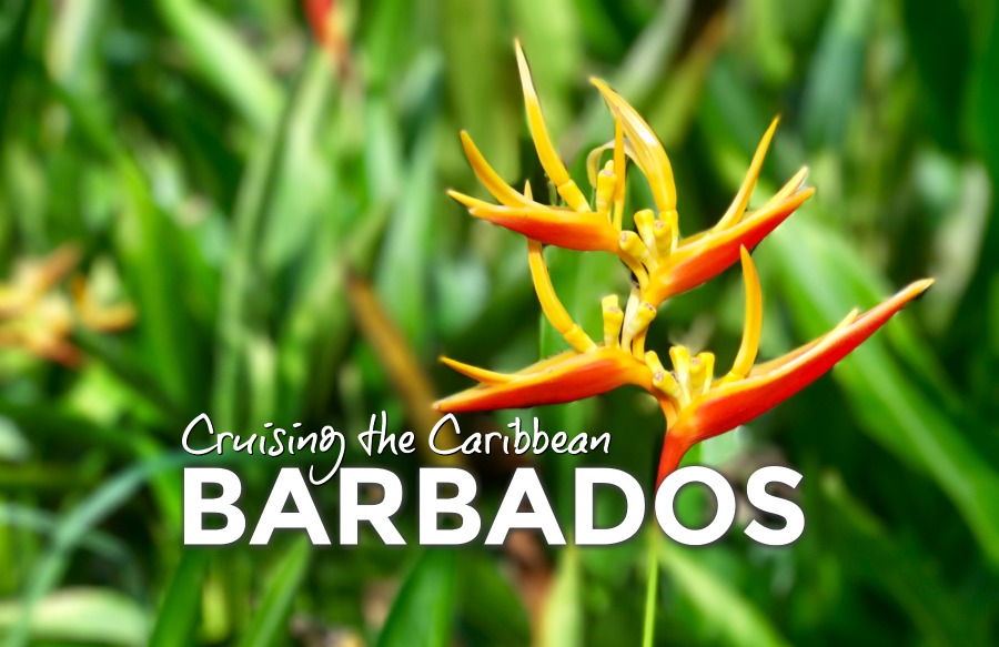 Cruising the Caribbean: Barbados
