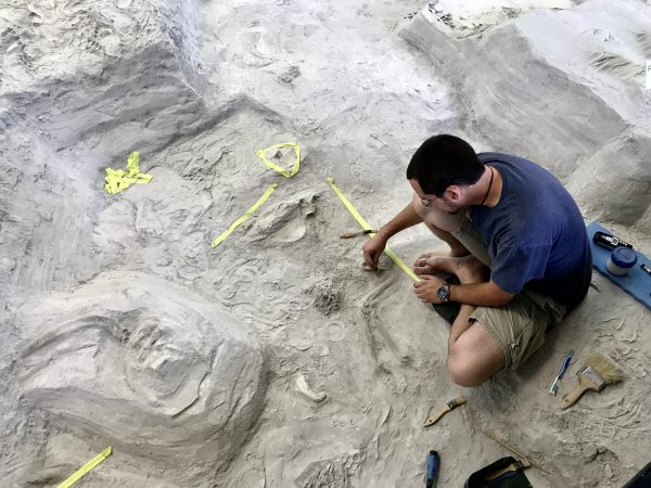 An archeology student intern brushes away sediment on the floor of the fossil bed at Ashfall near Royal, Nebraska.