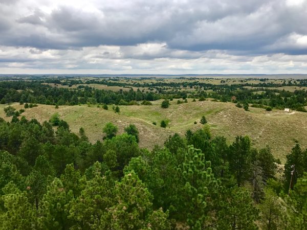 View from tower, Nebraska National Forest