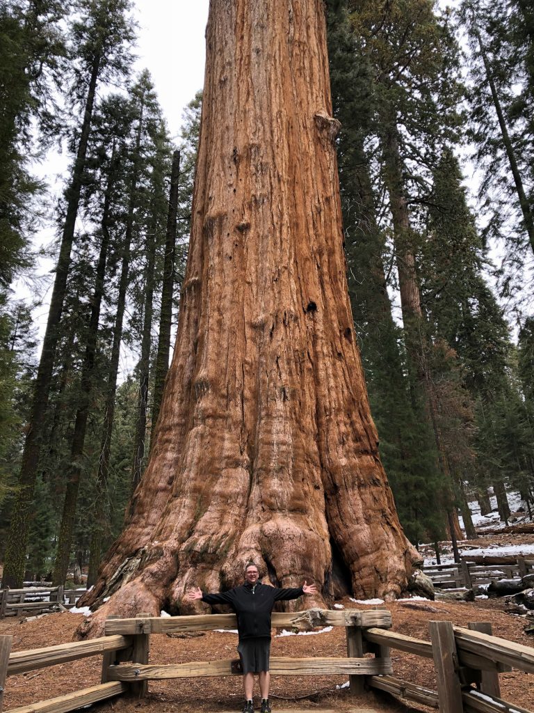 Sherman Tree in Sequoia National Park
