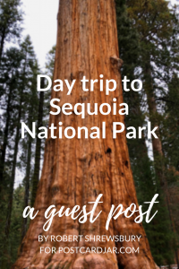 Daytrip to Sequoia National Park.