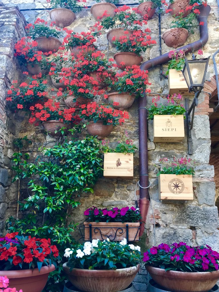 Tuscan flowers at a winery