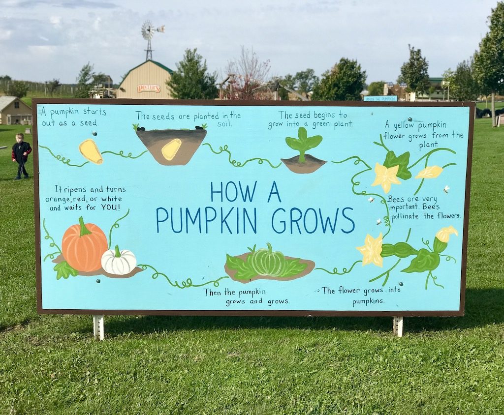 Education at Pinter's Gardens and Pumpkins, Decorah, Iowa