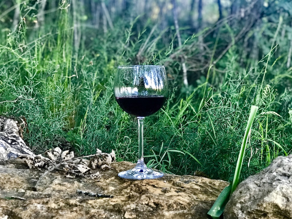Our wine tasting in the woods experience in Tuscany was one of our favorite travel experiences of all time. 