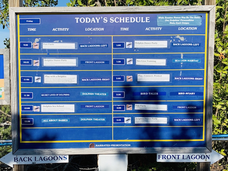 Dolphin Research Center schedule board