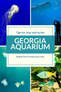 tips for visiting Georgia Aquarium
