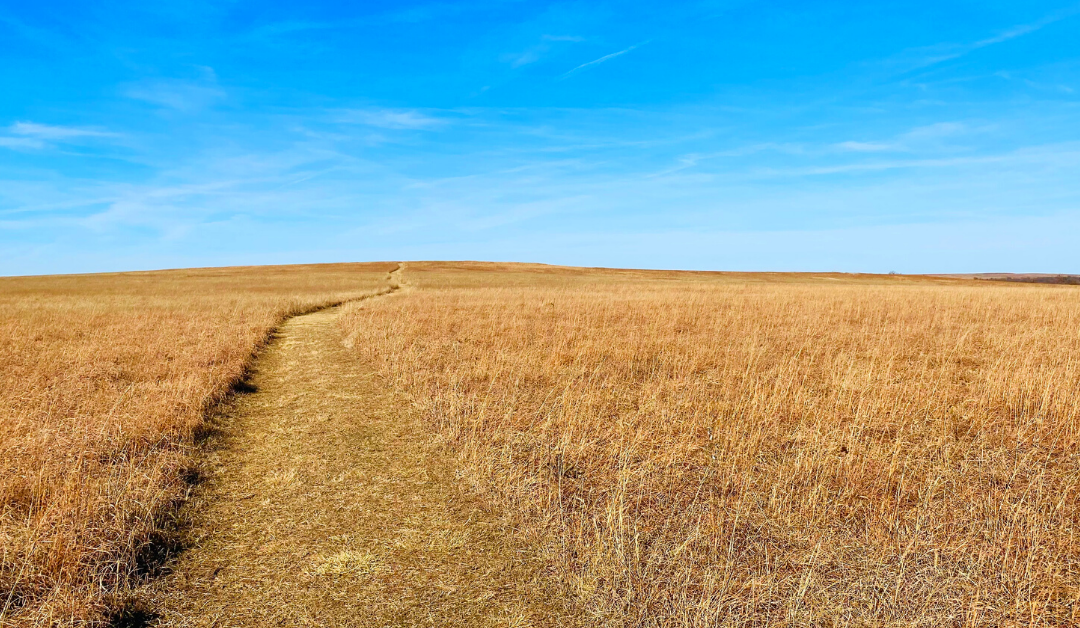 Why you should hike the Prairie Earth Trail near Pawhuska, Oklahoma