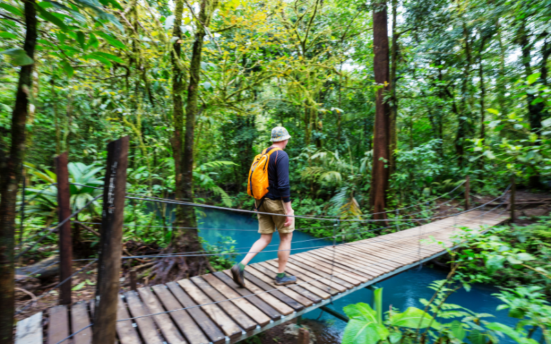 exploring rain forests costa rica 